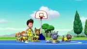 L-R: Skye, Rubble, Ryder, Chase, Rocky, Zuma