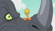 Tweety (r.)