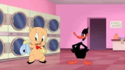 v.li.: Porky Pig, Daffy Duck