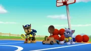 L-R: Chase, Rocky