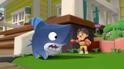 Sharkdog