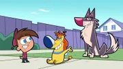 Timmy (l.), Sparky (m.)