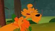 Pete Puma