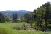 Das Lauterachtal. Eine Landschaft, bei der man ins Träumen gerät: malerische Flusstäler, duftende Wacholderheiden, bunte Blumenwiesen, schattige Wälder, geheimnisvolle Höhlen, beeindruckende Fels-Riesen und der Duft von Thymian und Salbei. Eine Szenerie, die einen gedanklich in südlichere, mediterrane Gefilde katapultiert, in die Toskana oder die Provence. Doch diese Toskana liegt in Ostbayern: der Bayerische Jura, ein Eldorado für Pflanzen und Tiere.