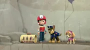 L-R: Ryder, Chase, Skye