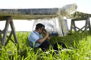 Binbrook, Ontario, Kanada: Nachstellung. Deepak Joshi (gespielt von Richard Young) stanzt ein Stück der gebrochenen Metallhaut vom Heck des Flugzeugs auf und legt die Metallstränge im Inneren frei.