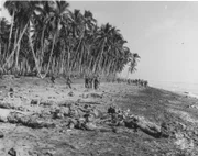 Schlacht um Guadalcanal: erbitterte Gefechte in den Tropen.