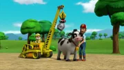 L-R: Rubble, Bettina, Farmer Al