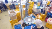 PEZ-Bonbons sind weltberühmt für die unzähligen Spendermotive und den Knips-Mechanismus, mit dem die kleinen Fruchtbonbons einzeln ausgegeben werden.