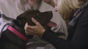 Potential adopter at meet and greet.