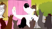 Barnyard Dawg