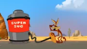 Wile E. Coyote