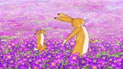 Der große und der kleine braune Hase erfreuen sich an der prächtigen Blumenwiese.