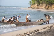 1799 ist es endlich soweit: Humboldt und Bonpland erreichen nach 41 Tagen auf See Südamerika. Eigentlich hatten sie nach Havanna segeln wollen, aber zahlreiche Krankheitsfälle an Bord zwangen den Kapitän, den ersten erreichbaren Hafen anzusteuern: Cumaná im heutigen Venezuela.