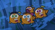 L-R: Cosmo, Timmy, Poof, Wanda
