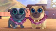 L-R: Bingo und Rolly