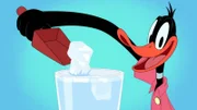 Daffy