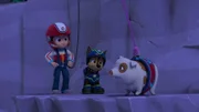 L-R: Ryder, Chase, Corny