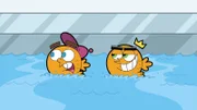 L-R: Timmy, Cosmo