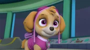 Skye