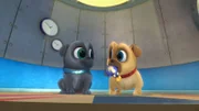 L-R: Bingo, Rolly