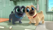 L-R: Bingo (voiced  by Issac Ryan Brown), Rolly (voiced by Sam Lavagnino)
