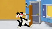 Sylvester