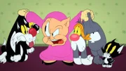 Porky Pig (m.)