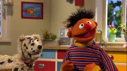 Ernie hat einen Hund mitgebracht.