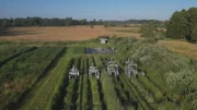 Moore absorbieren doppelt so viel CO2 wie alle Wälder der Erde zusammen. Paludikulturen bieten die Chance, Landwirtschaft auf wiedervernässten Moorböden zu betreiben. Die Hochschule Weihenstephan-Triesdorf betreibt eine weltweit einzigartige Messanlage, die den Emissionsaustausch von Paludikulturen erfassen kann. So können die Forschenden ihre Klimabilanz errechnen.