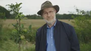 Wenn es um das Klima geht, reden alle davon, Bäume zu pflanzen. Begangene Umweltsünden wie zum Beispiel eine Flugreise in ferne Länder könnten wir kompensieren, indem wir zusätzlich Bäume pflanzten. Doch wie sinnvoll sind solche Projekte wirklich?