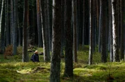 Die Biologin Sabina Nowak kämpft als Wolfsexpertin seit rund 20 Jahren gegen den schlechten Ruf und für den Schutz der Tiere, die ihrer Expertise nach für ein gesundes Ökosystem unerlässlich sind.