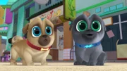 L-R: Rolly, Bingo