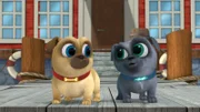 L-R: Rolly (voiced by Sam Lavagnino), Bingo (voiced by Issac Ryan Brown)