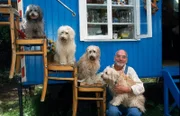 Eigentlich wünscht sich Peter (Peter Lustig) mindestens vier Hunde.