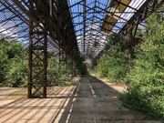 Seit 1990 verfällt die ehemalige Auto-Fabrik "Isotta Fraschini" in Saronno. Wo früher einmal Luxus-Schlitten gebaut wurden, breiten sich Büsche und Bäume aus.