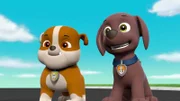 L-R: Rubble, Zuma