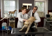 ARD/SWR TIERE BIS UNTERS DACH FOLGE 28, "Kleiner Hund, was nun?", Buch: Sebastian Andrae, Regie: Andreas Morell, am Sonntag (01.03.15) um 08:35 Uhr im ERSTEN. Tierarzt Dr. Philipp Hansen (re., Heikko Deutschmann) untersucht mit seinem Assistenten Bertie (li., Silas Breiding) einen Hund.