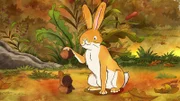 Der kleine braune Hase spielt Eichelnstapeln.