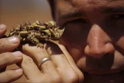 Jeff Corwin with a Thorny Devil