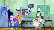 v.li.: Bunny, Patrick, Squidina, Cecil