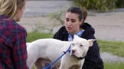 (JAZZMINE DROP OFF) Dog with Lizzy.