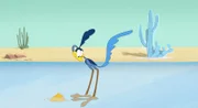 Road Runner