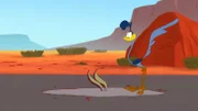 v.li.: Wile E. Coyote, Road Runner