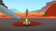 Wile E. Coyote