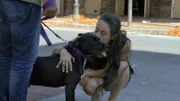 (JASKO ADOPTION) M2 training dog in the city.