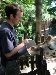 Joseph Nappi feeds a giraffe.