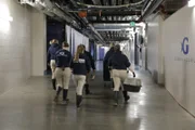 Team moving harbor seals.