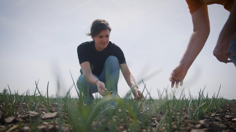 Das Spiel mit den Genen (A, 2024)