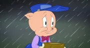 Porky Pig
